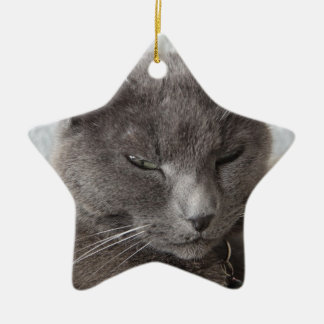 Adorno De Cerámica Gato gris