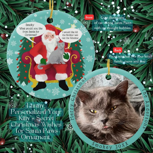 Adorno De Cerámica Gato gris gracioso visita Santa con deseo hilarant (A Gray Cat tells Santa Paws she wants ? for Christmas? Add her special wishes and picture)