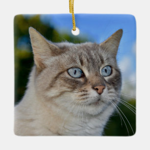 Adorno De Cerámica Gato Lynx Point con ojos azules