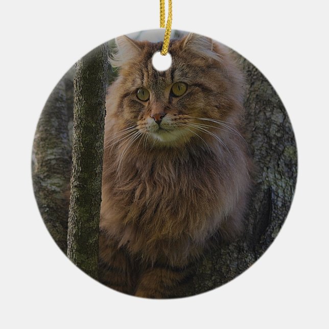 Adorno De Cerámica Gato Maine Coon - Gato de árbol (Frente)