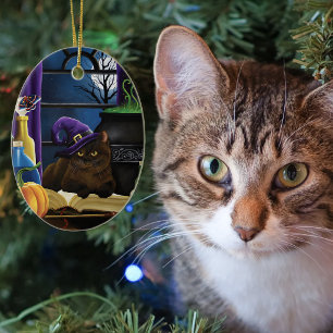 Adorno De Cerámica Gato Marrón Brujeril Magia Púrpura Luna Llena en E