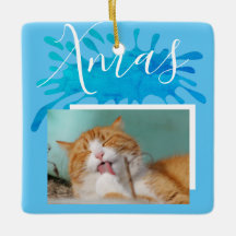 Gato Mascota Azul Navidad Escritura Navidad Foto