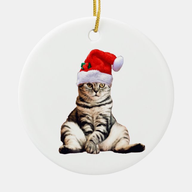 Adorno De Cerámica Gato navidad con Santa Hat (Frente)