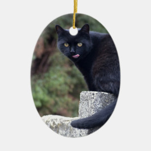 Adorno De Cerámica Gato negro