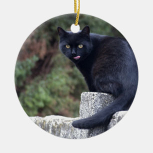 Adorno De Cerámica Gato negro