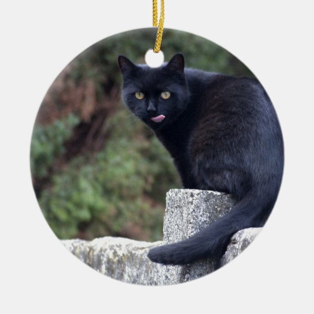 Adorno De Cerámica Gato negro (Frente)