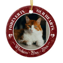 Gato por Siempre en Nuestros Corazones Foto y Nomb