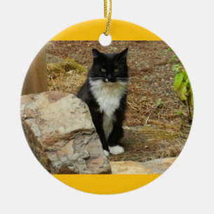 Adorno De Cerámica Gato salvaje Momma