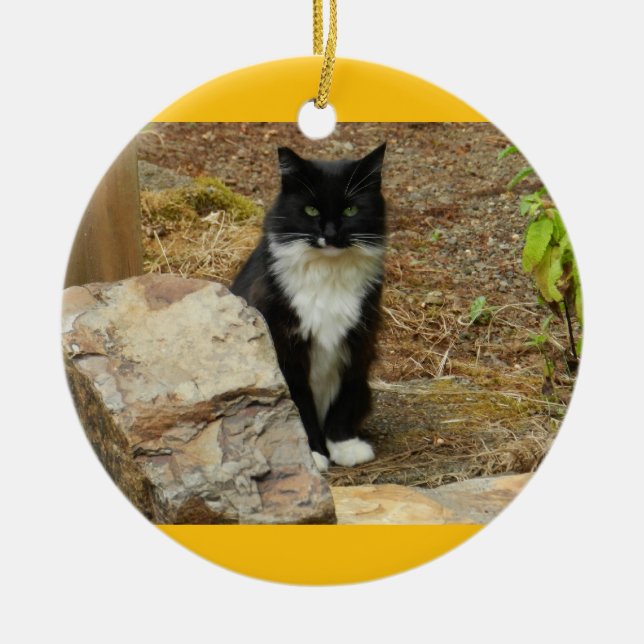 Adorno De Cerámica Gato salvaje Momma (Frente)