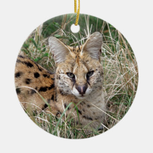 Adorno De Cerámica Gato serval relajante en el césped