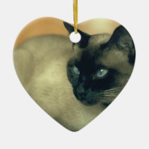 Adorno De Cerámica Gato siamés