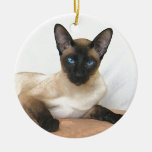 Adorno De Cerámica Gato siamés