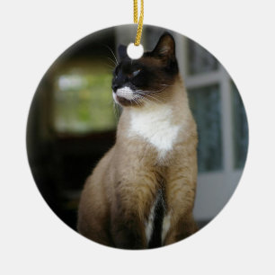 Adorno De Cerámica Gato siamés en el corredor