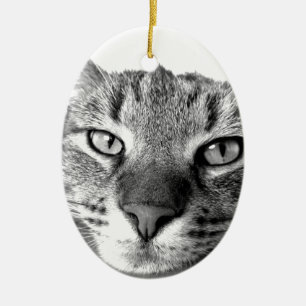 Adorno De Cerámica Gato somnoliento