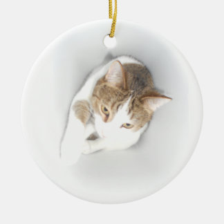 Adorno De Cerámica Gato surrealista en la luz