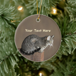 Adorno De Cerámica Gato Tabby Gris Humeante