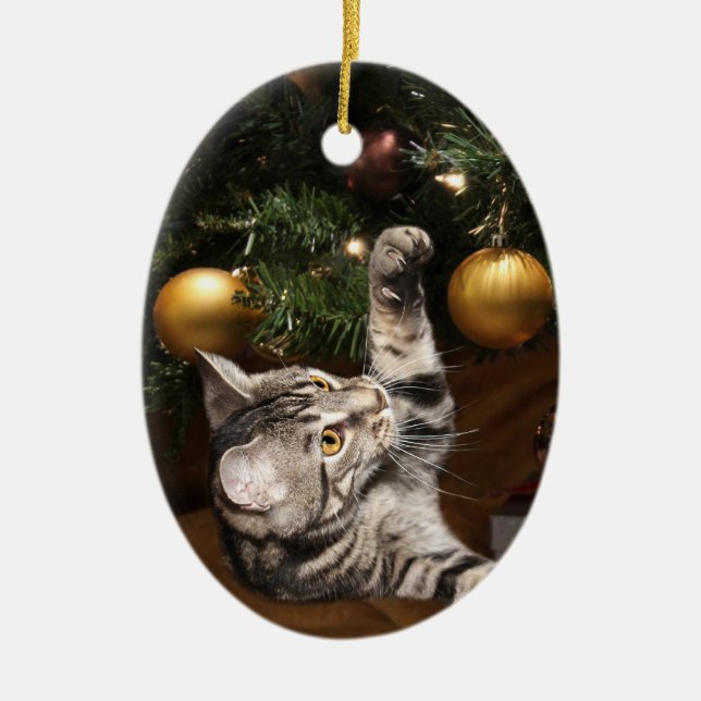 Adorno De Cerámica Gato y árbol de navidad de Tabby (Frente)