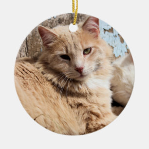Adorno De Cerámica Gatos