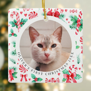 Adorno De Cerámica Gatos primera foto de navidad acuarela caña de can