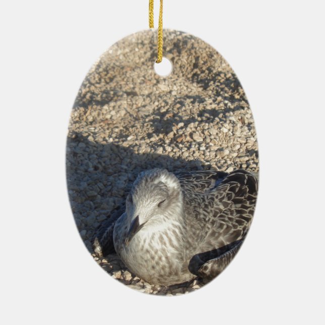 Adorno De Cerámica Gaviota Disfrutando De La Fotografía De Verano Del (Atrás)