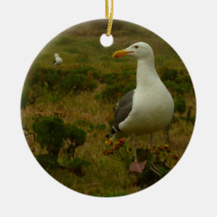 Adorno De Cerámica Gaviotas en la isla Anacapa