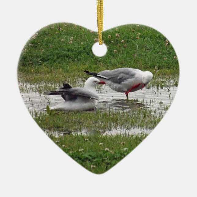 Adorno De Cerámica Gaviotas tomando baño (Frente)
