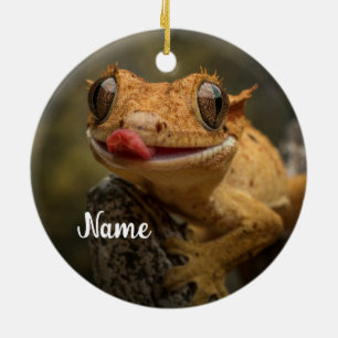 Adorno De Cerámica Gecko Lizard personalizado
