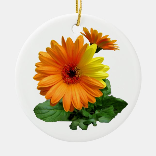 ADORNO DE CERÁMICA GERBERA DAISY-ORNAMENTS (Frente)