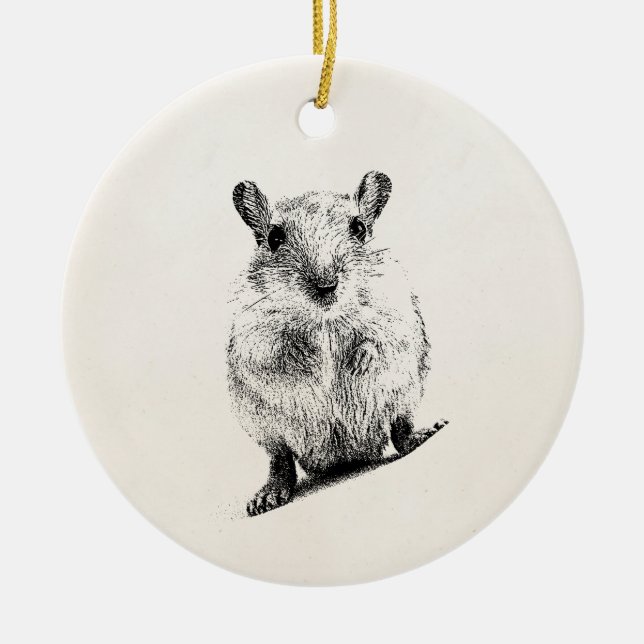 Adorno De Cerámica Gerbils animales del mascota del ilustracion del (Frente)