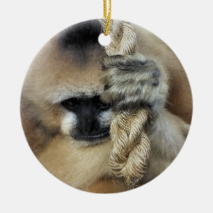 ADORNO DE CERÁMICA GIBBON