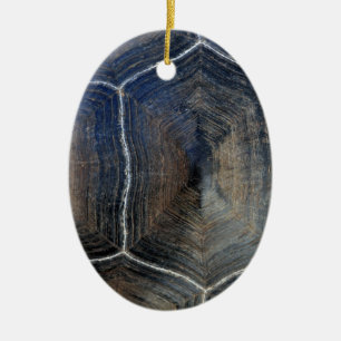 Adorno De Cerámica Gigantescas tortugas de concha Galápagos