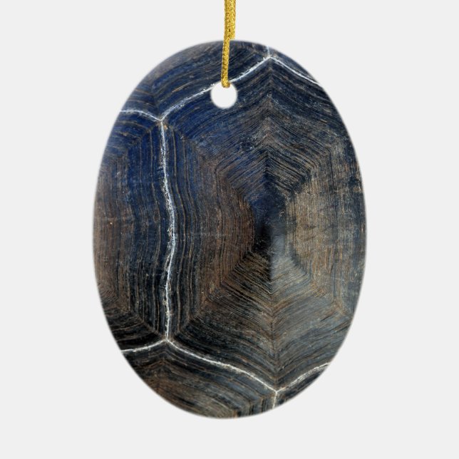 Adorno De Cerámica Gigantescas tortugas de concha Galápagos (Frente)