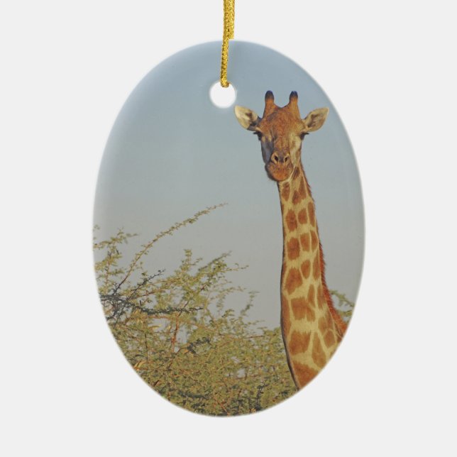 ADORNO DE CERÁMICA GIRAFFE (Frente)