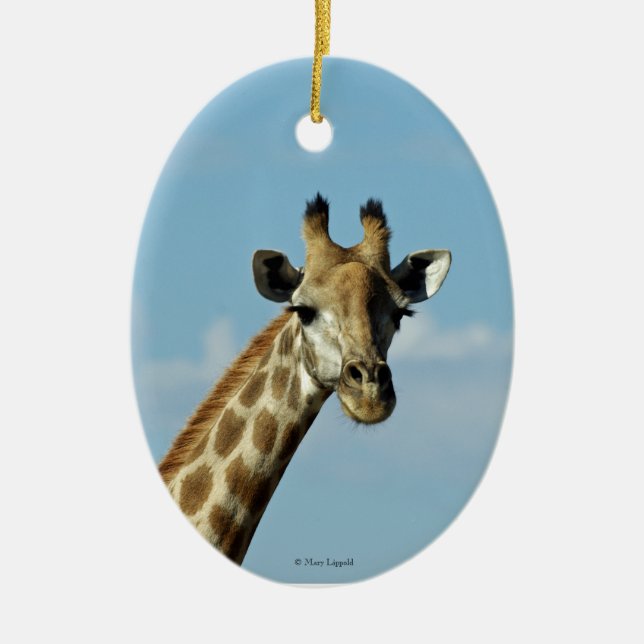 Adorno De Cerámica Giraffe (Frente)