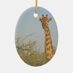 ADORNO DE CERÁMICA GIRAFFE 15 BOTSWANA