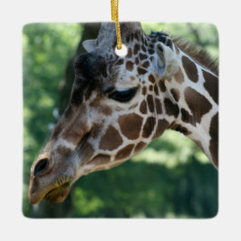 Adorno De Cerámica Giraffe Ornament