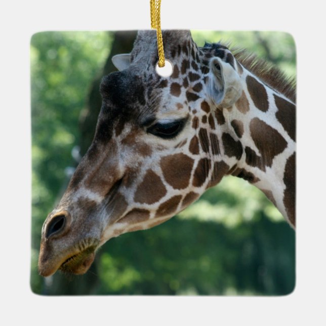 Adorno De Cerámica Giraffe Ornament (Anverso)