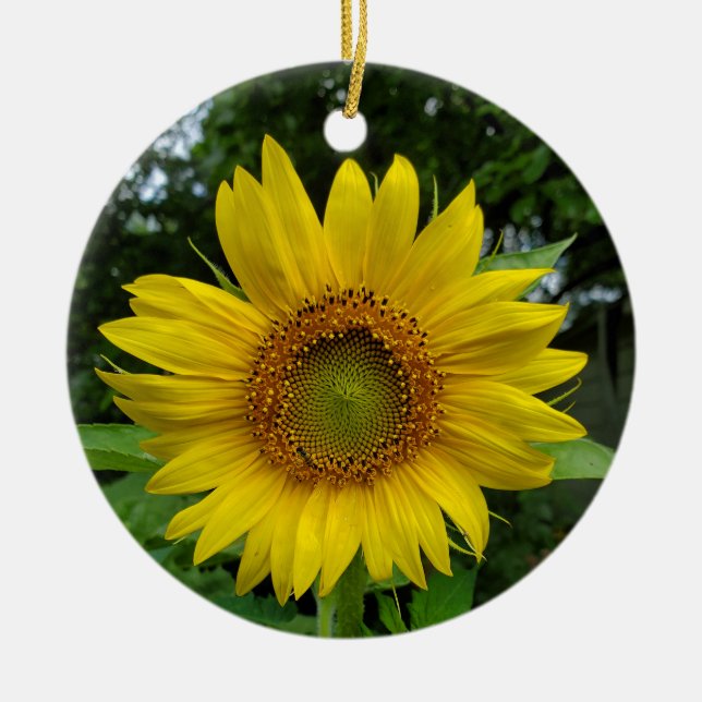 Adorno De Cerámica Girasol (Frente)