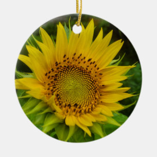 Adorno De Cerámica Girasol