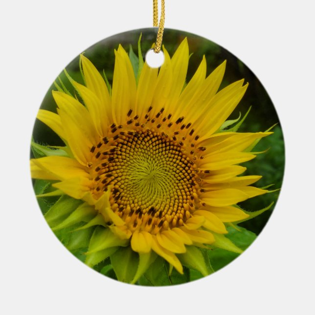 Adorno De Cerámica Girasol (Frente)