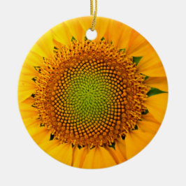 Adorno De Cerámica Girasol y semillas, espiral, proporción áurea