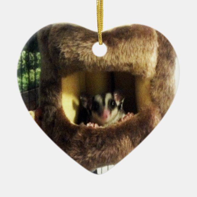 Adorno De Cerámica Glider azucarero en camión de árbol furtivo colgan (Frente)