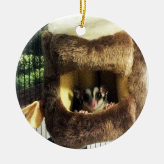 Adorno De Cerámica Glider azucarero en camión de árbol furtivo colgan (Frente)