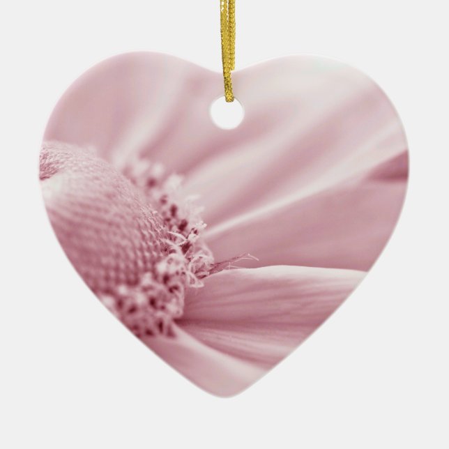 Adorno De Cerámica Gloriosa Daisy Macro (Frente)