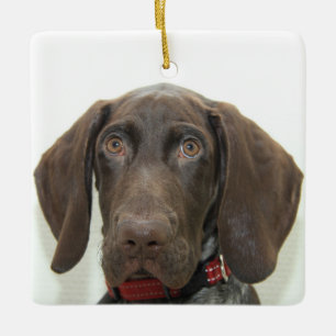 Adorno De Cerámica Glossy Grizzly Christmas Ornament