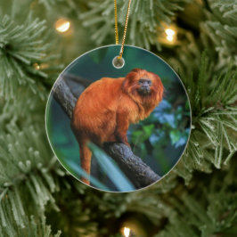 Adorno De Cerámica Golden Lion Tamarin