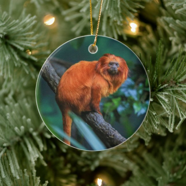 Adorno De Cerámica Golden Lion Tamarin (Árbol)