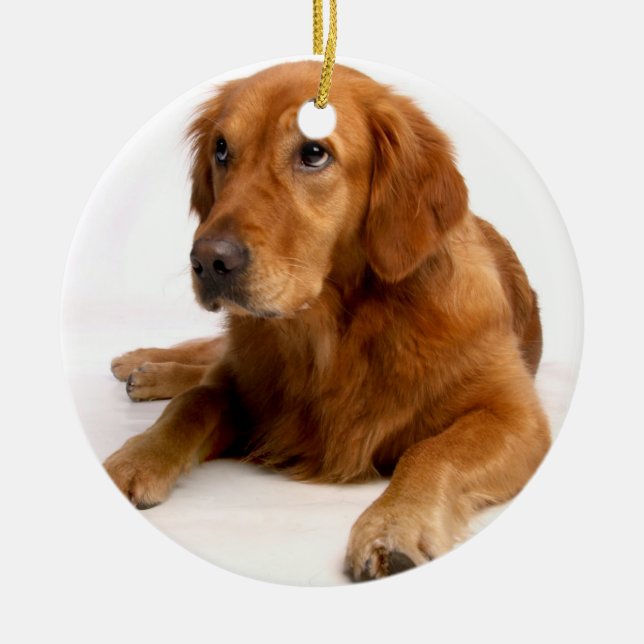 Adorno De Cerámica Golden Retriever Christmas Ornament With Photo (Frente)
