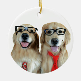 Adorno De Cerámica Golden retriever con los vidrios del empollón