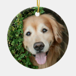 Adorno De Cerámica Golden retriever detrás de una sonrisa